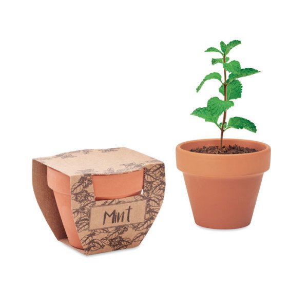 Malý kvetináč so semenami mäty MINT POT