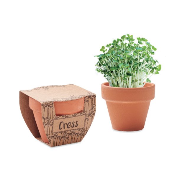 Malý kvetináč so semenami žeruchy CRESS POT