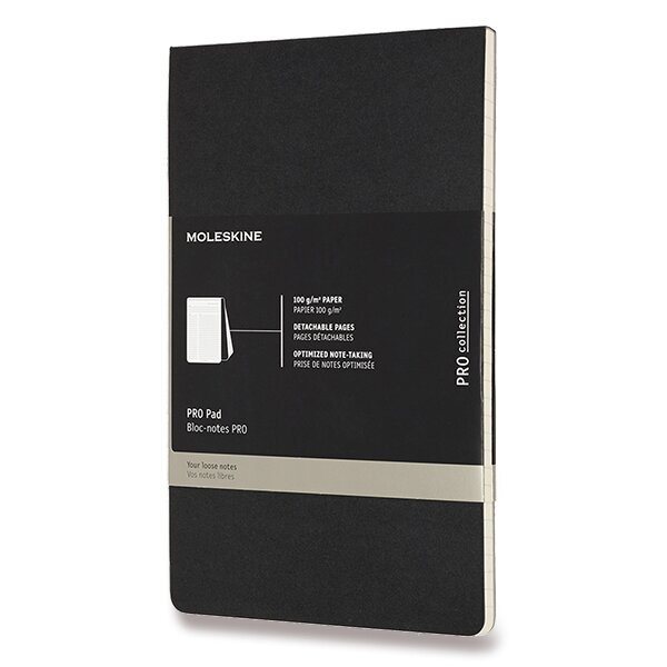 Poznámkový blok Moleskine Professional L, linajkový