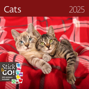 Nástenný kalendár Cats - Reklamnepredmety