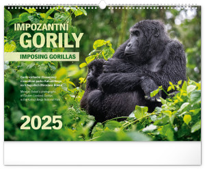 Nástenný kalendár Impozantné gorily 2025, 48 × 33 cm - Reklamnepredmety