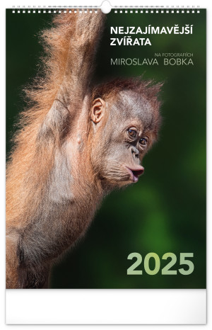 Nástenný kalendár Najzaujímavejšie zvieratá 2025, 33 × 46 cm - Reklamnepredmety