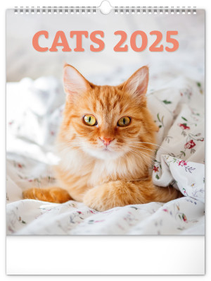 Nástenný kalendár Mačky 2025, 30 × 34 cm - Reklamnepredmety