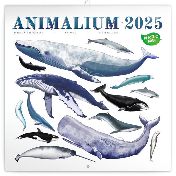 Poznámkový kalendár Animalium 2025, 30 × 30 cm