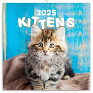 Poznámkový kalendár Mačiatka 2025, 30 × 30 cm - Reklamnepredmety