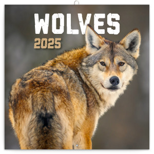 Poznámkový kalendár Vlky 2025