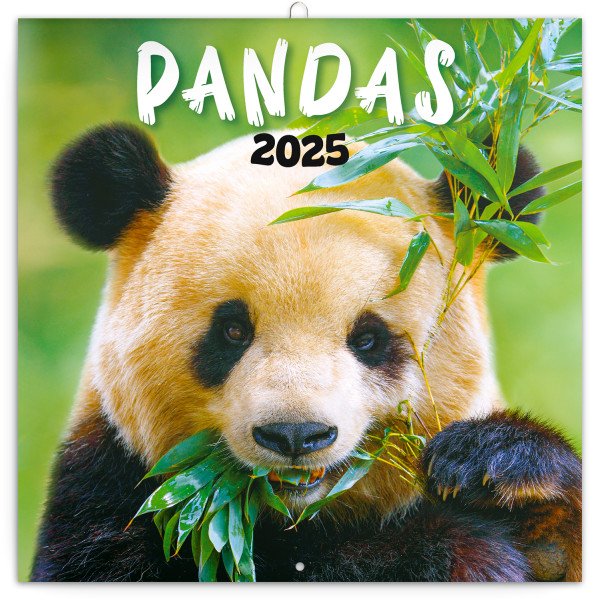 Poznámkový kalendár Pandy 2025