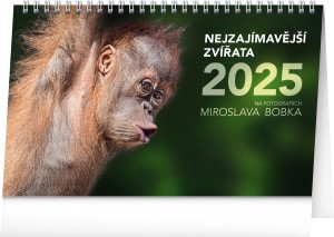 Stolový kalendár Najzaujímavejšie zvieratá 2025, CZ - Reklamnepredmety