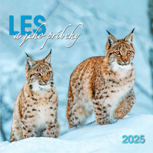 Nástenný kalendár Les a jeho príbehy 2025 - Reklamnepredmety