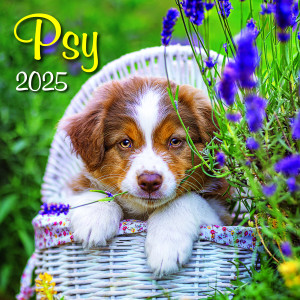 Nástenný kalendár Psy štvorec 2025 - Reklamnepredmety
