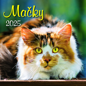 Nástenný kalendár Mačky 2025 - Reklamnepredmety