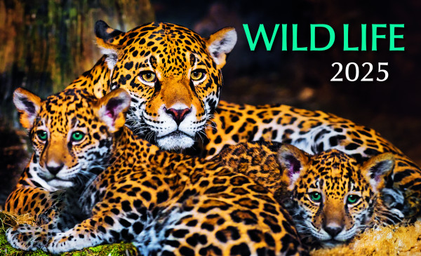 Stolový kalendár Wild life 2025