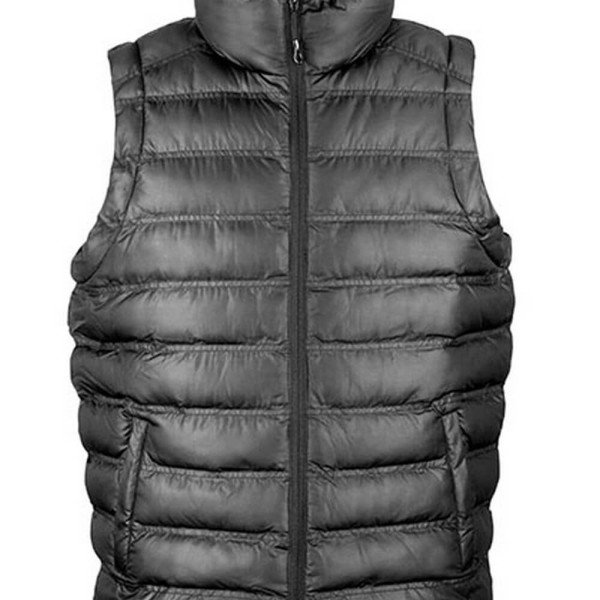 RT193 Mens Ice Bird Padded Gilet